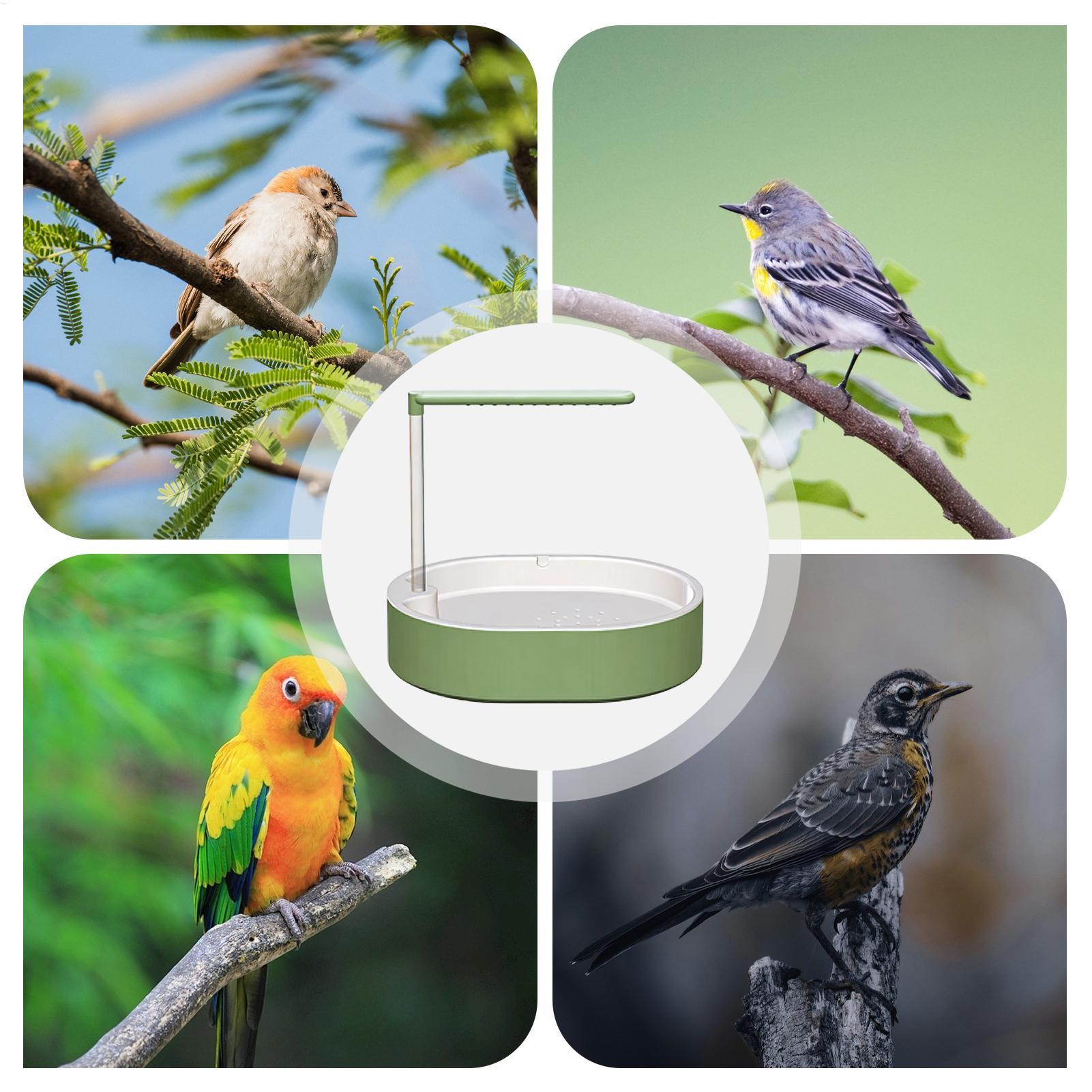 Tempat Mandi Burung Parrot, Wa - Home Bath ulasan dan harga